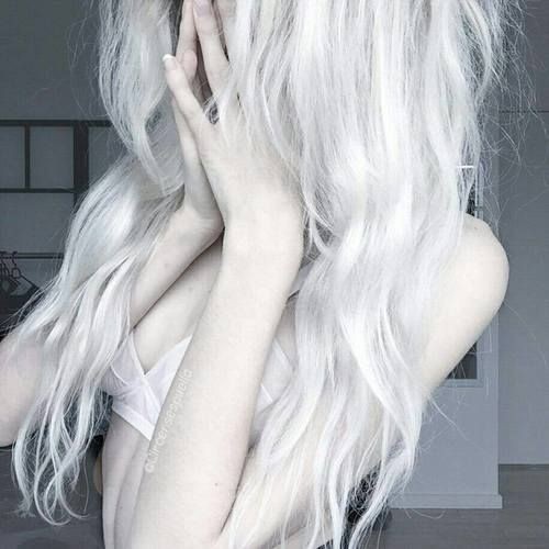 Jessijes