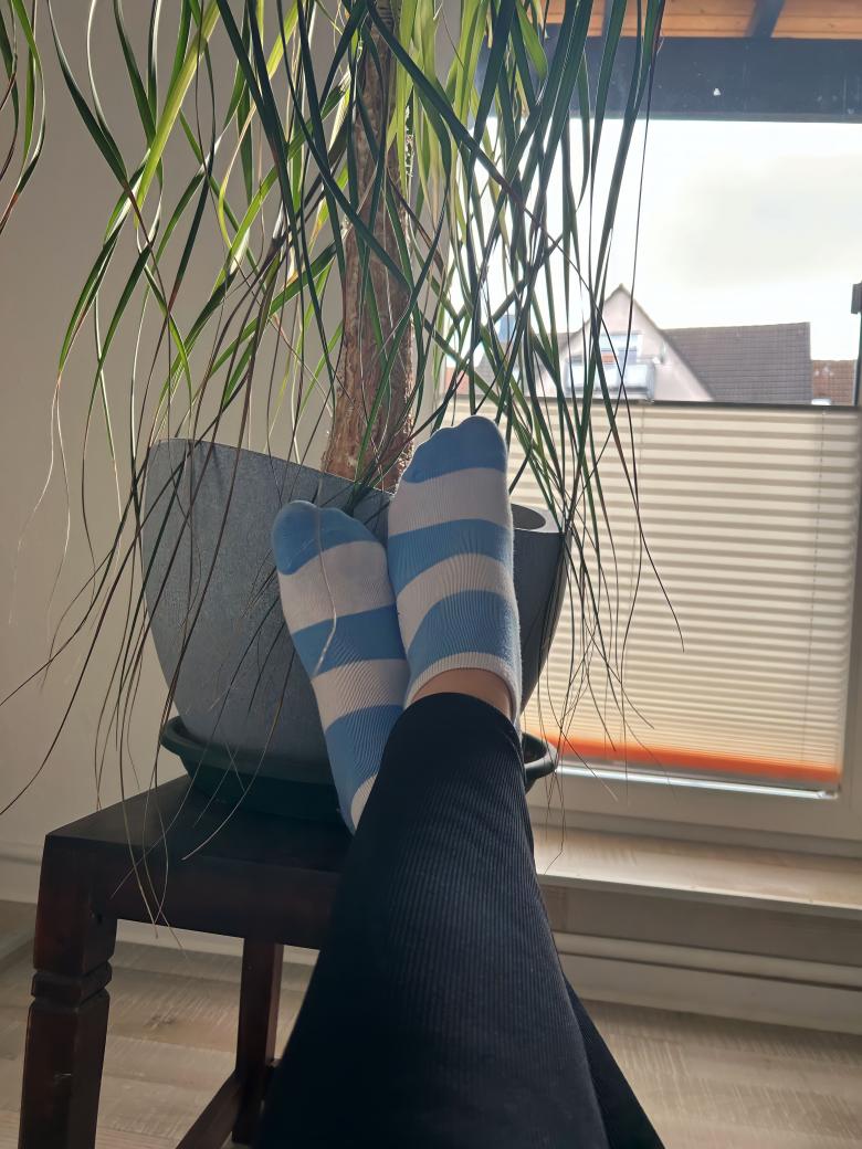 Gestreifte Sockies