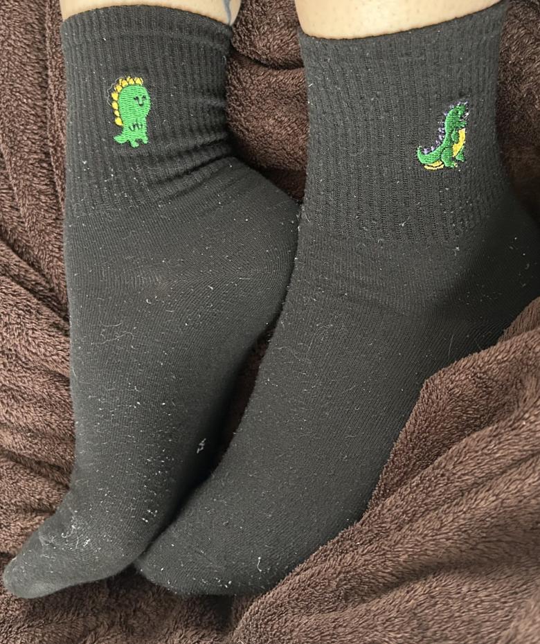 Dino Socken