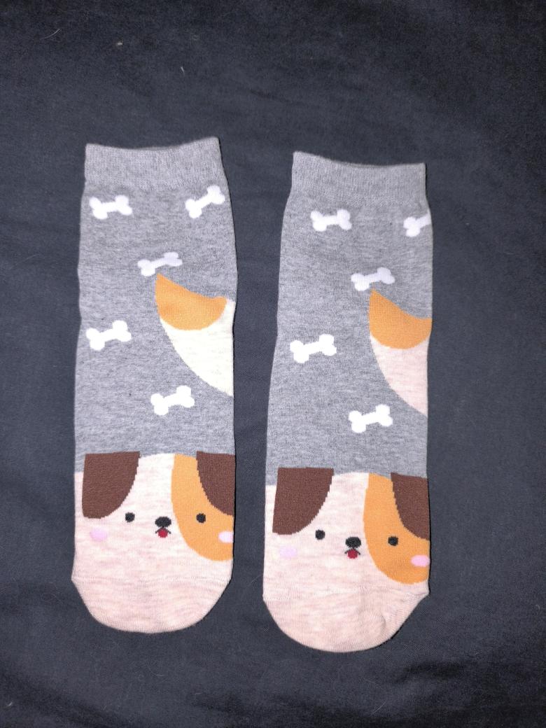 Hunde Socken 🐕