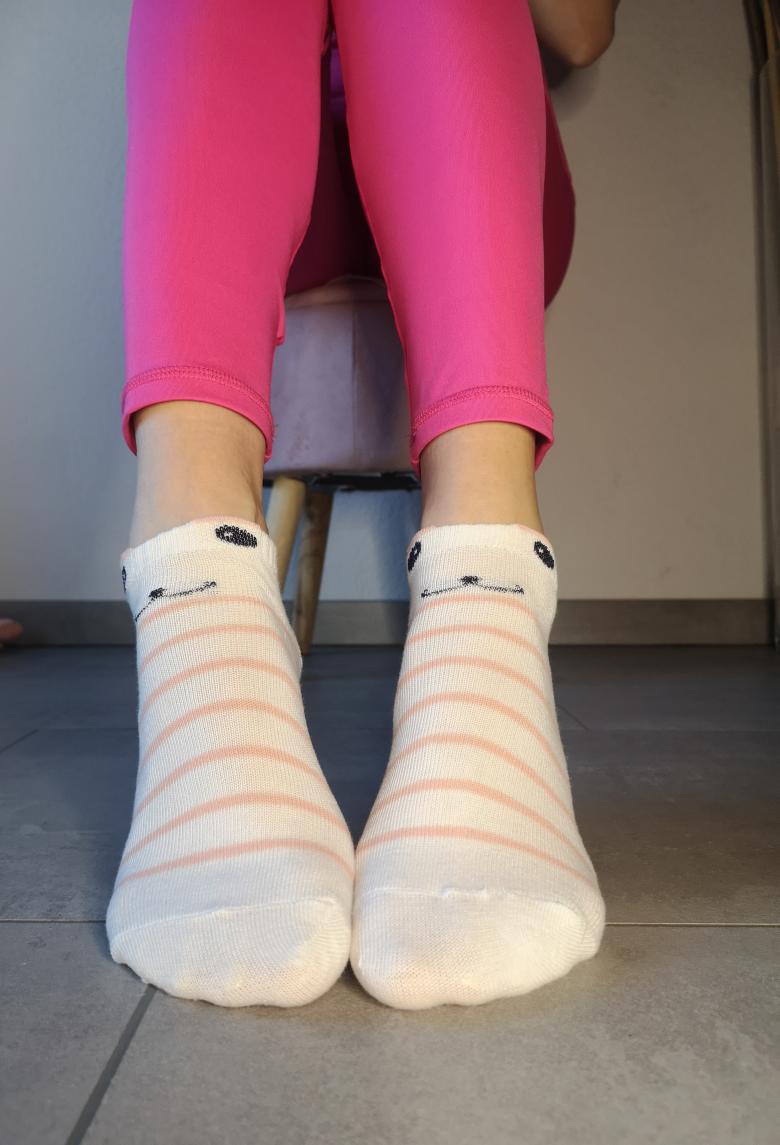 Hunde Socken 🐶