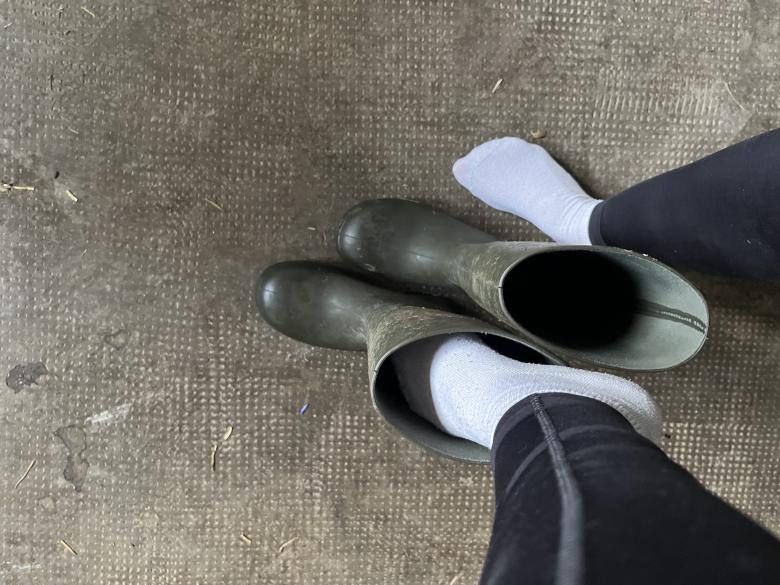 Gummistiefel Socken