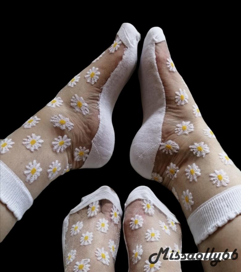 🌼🤍Gänseblümchen 🤍🌼
